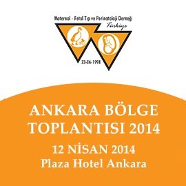 Ankara Bölge Toplantısı 2014